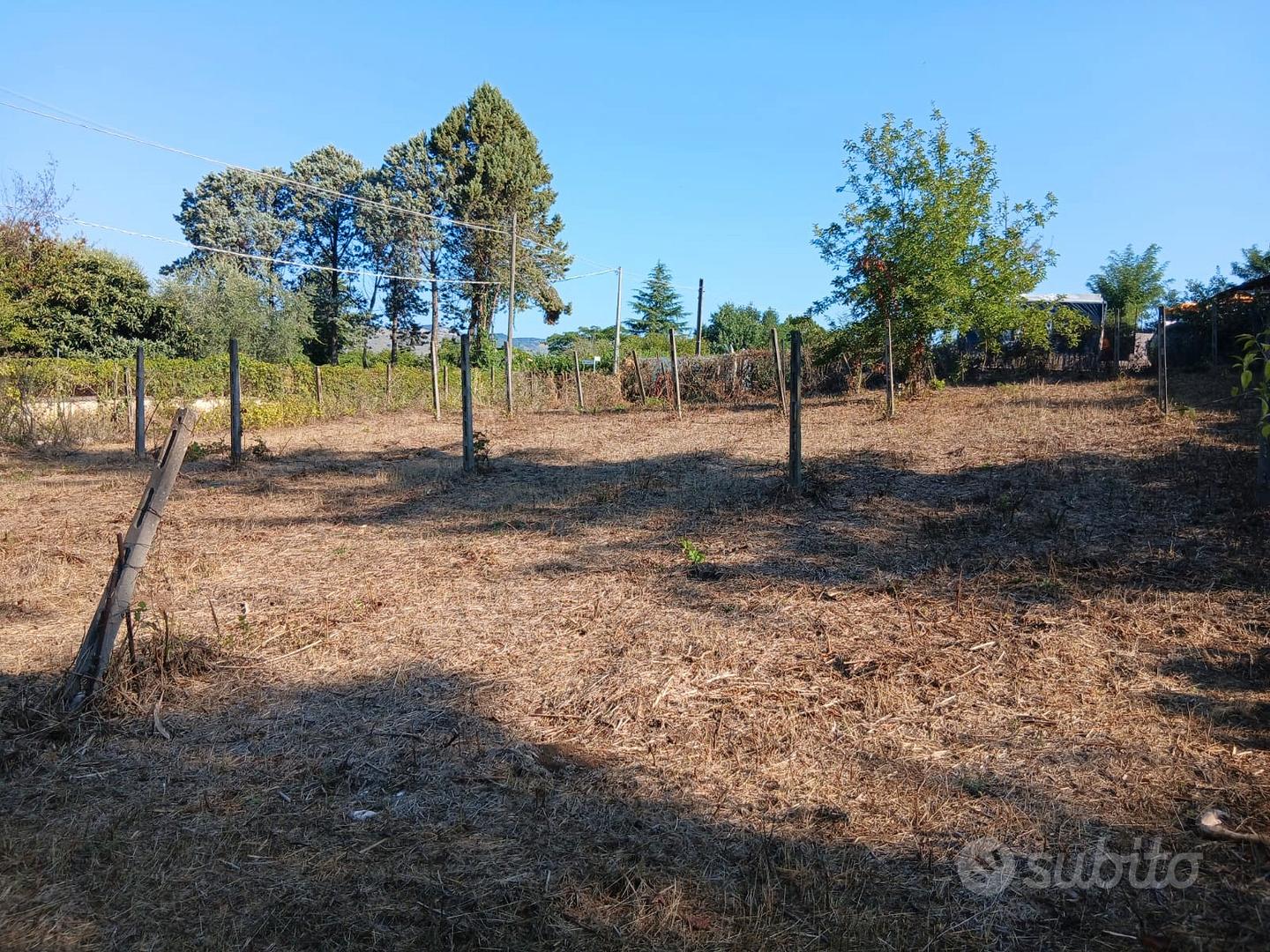 Terreno Agricolo 3000mq Arci - Vista 3