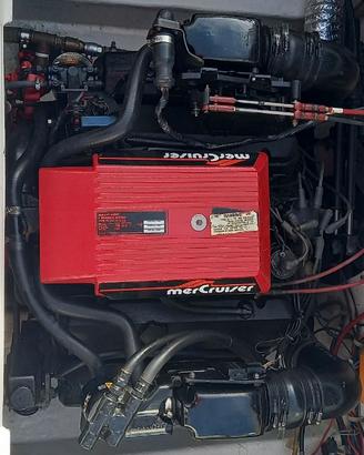 Motore a  benzina entrofuoribordo