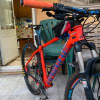 Mtb in carbonio