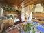 Immagine 10