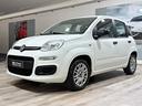 fiat-panda-1-2-69cv-80-000km-2016-neopatentati