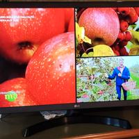 Televisore 28" come nuovo