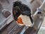 Immagine 14