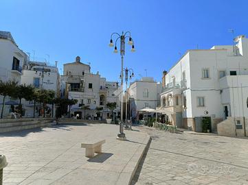 CASA INDIPENDENTE A POLIGNANO A MARE