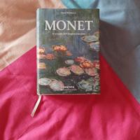 Monet - il trionfo dell'impressionismo