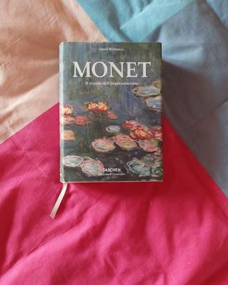 Monet - il trionfo dell'impressionismo