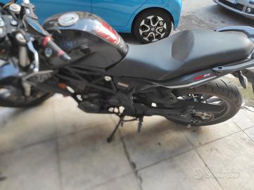 Benelli 302 R - 2016