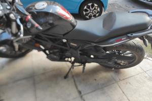 Benelli 302 R - 2016