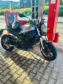 Benelli Leoncino 800