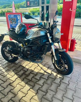 Benelli Leoncino 800