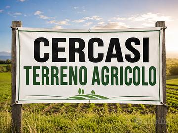 Terreno agricolo