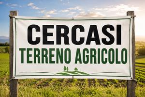 Terreno agricolo