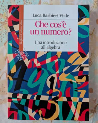 Libri Matematica