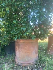 Vaso Semicircolare Liscio Terracotta Impruneta