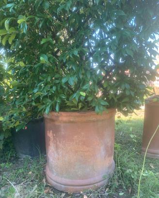 Vaso Semicircolare Liscio Terracotta Impruneta