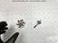 Immagine 11
