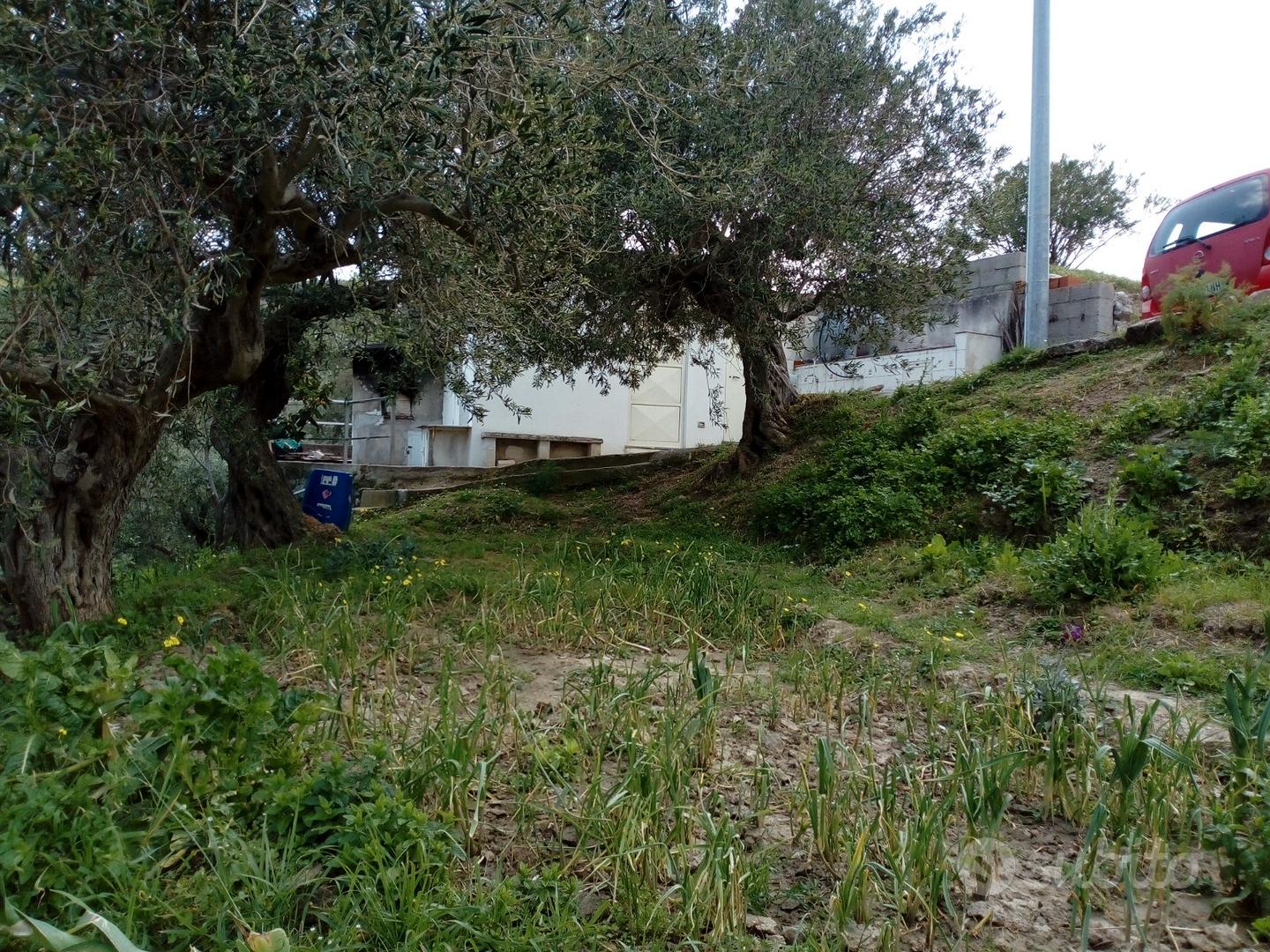 Terreno agricolo - Vista 4