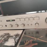 Amplificatore integrato Denon PMA 730 