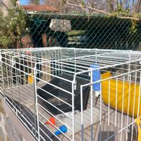 Gabbia x cavie o coniglietti