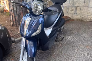 Beverly 300
