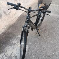 Bici elettrica