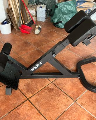Hyperextension palestra