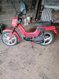 Atala Master  LF