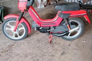 Atala Master  LF