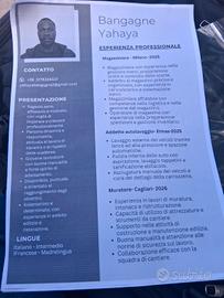 Muratore magazziniere