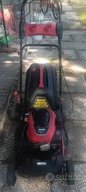Tagliaerba a scoppio da giardino