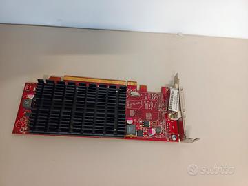 Scheda video amd uscita DVI