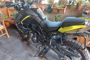  benelli trk 702x  gennaio 2026