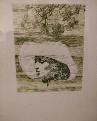Quadri e stampe