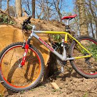 Mountain bike alluminio doppia corona