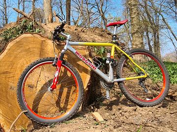 Mountain bike alluminio doppia corona
