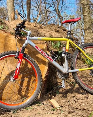 Mountain bike alluminio doppia corona
