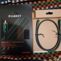 Audioquest cavo DGT COASSIALE 75 OHM 0.75 m