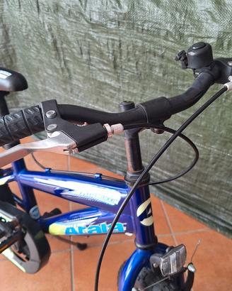 bicicletta bambino