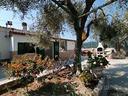 moderna-villetta-a-50m-dal-mare