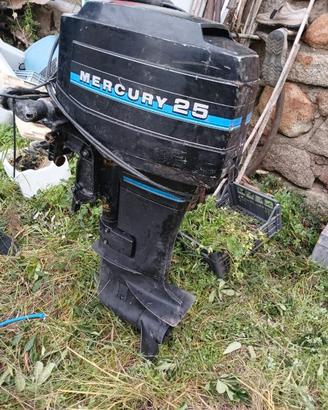 Motore fuoribordo Mercury 25cv
