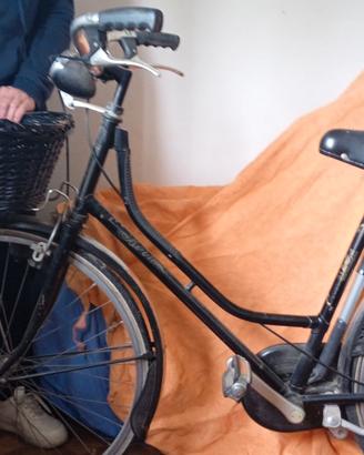 Bicicletta donna