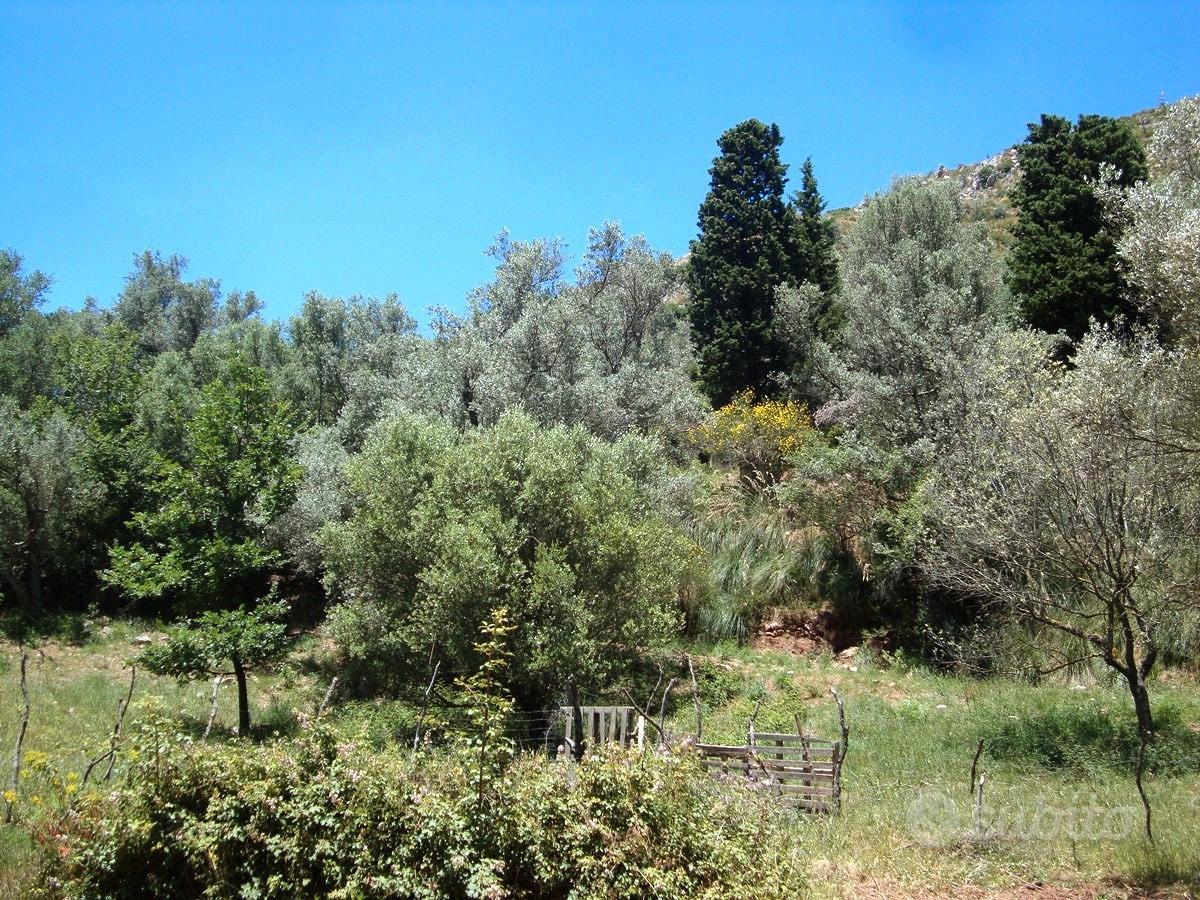 Terreno agricolo Nebrodi fabbricabile mc.550 - Vista 5