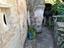 Immagine 16