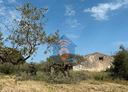 selinunte-rudere-con-terreno-edificabile