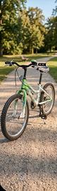 bici mtb bambini 