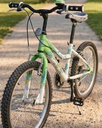bici mtb bambini 