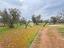 Immagine 26