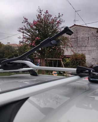 THULE Pro ride 598 