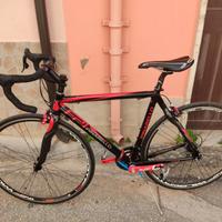 Bici strada Pinarello FP1