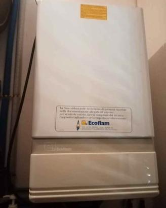 caldaia metano Ecoflan 24w